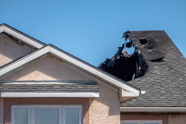 Top rated local Odor Removal specialists in Norristown, PA